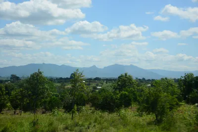 DSC_9651 (Large).JPG